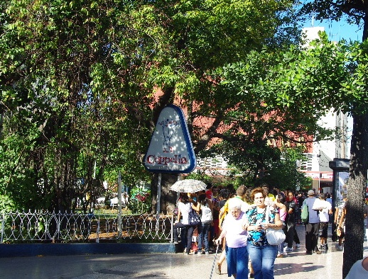 c0011649_455438.jpg