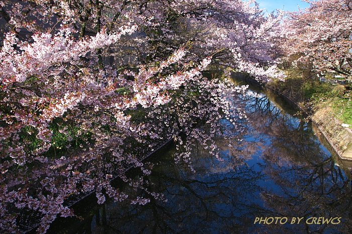 e0056449_20391963.jpg
