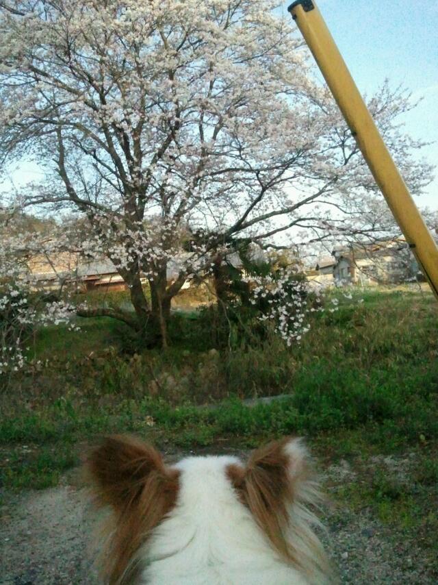 いちご狩り♡_f0168650_1431988.jpg