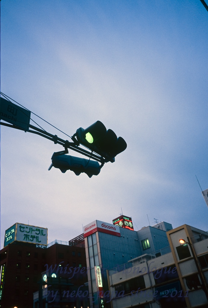 本日の一枚（フィルム）_e0190554_1564144.jpg