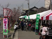 2012年　つざわ桜まつり_c0208355_17595531.jpg