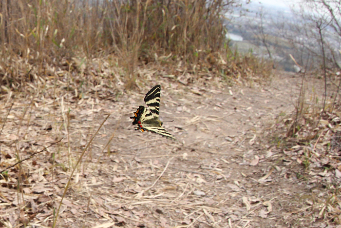e0156157_21541440.jpg