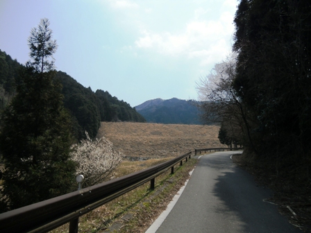 霊山（れいざん）（三重県伊賀市）に登ってきました。車で　2012年4月9日_e0178757_11252061.jpg