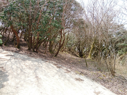 霊山（れいざん）（三重県伊賀市）に登ってきました。車で　2012年4月9日_e0178757_145382.jpg