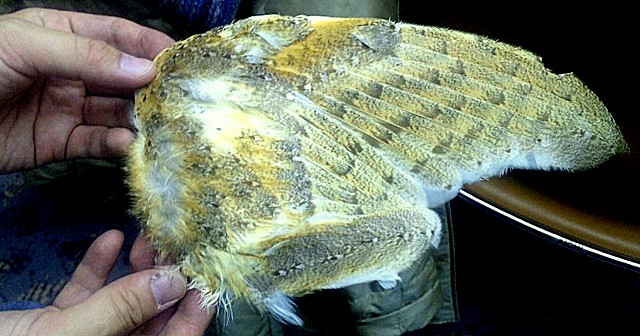 b0165760_18373726.jpg