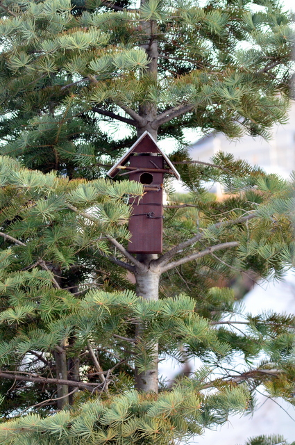 b0165760_18434737.jpg