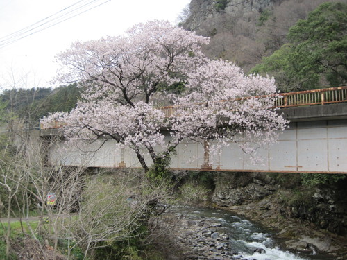 f0236260_23343659.jpg