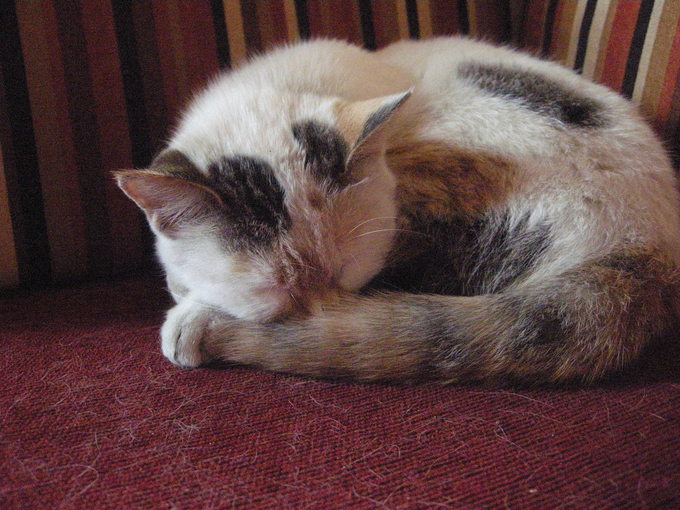 c0080861_1340551.jpg