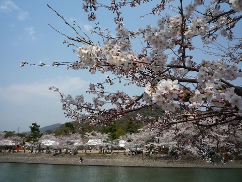 b0145863_23164748.jpg
