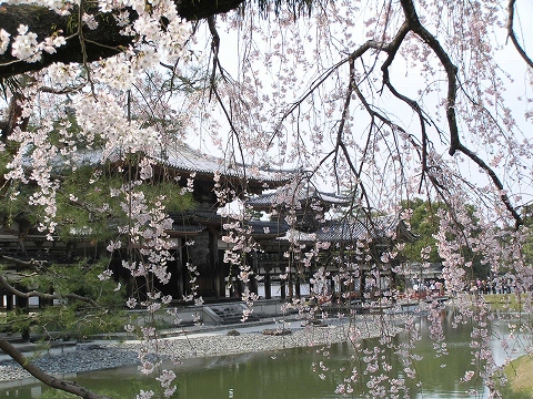 b0145863_2317884.jpg