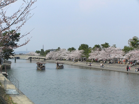 b0145863_2381557.jpg