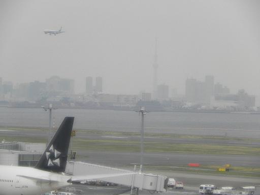 d0048366_1617657.jpg