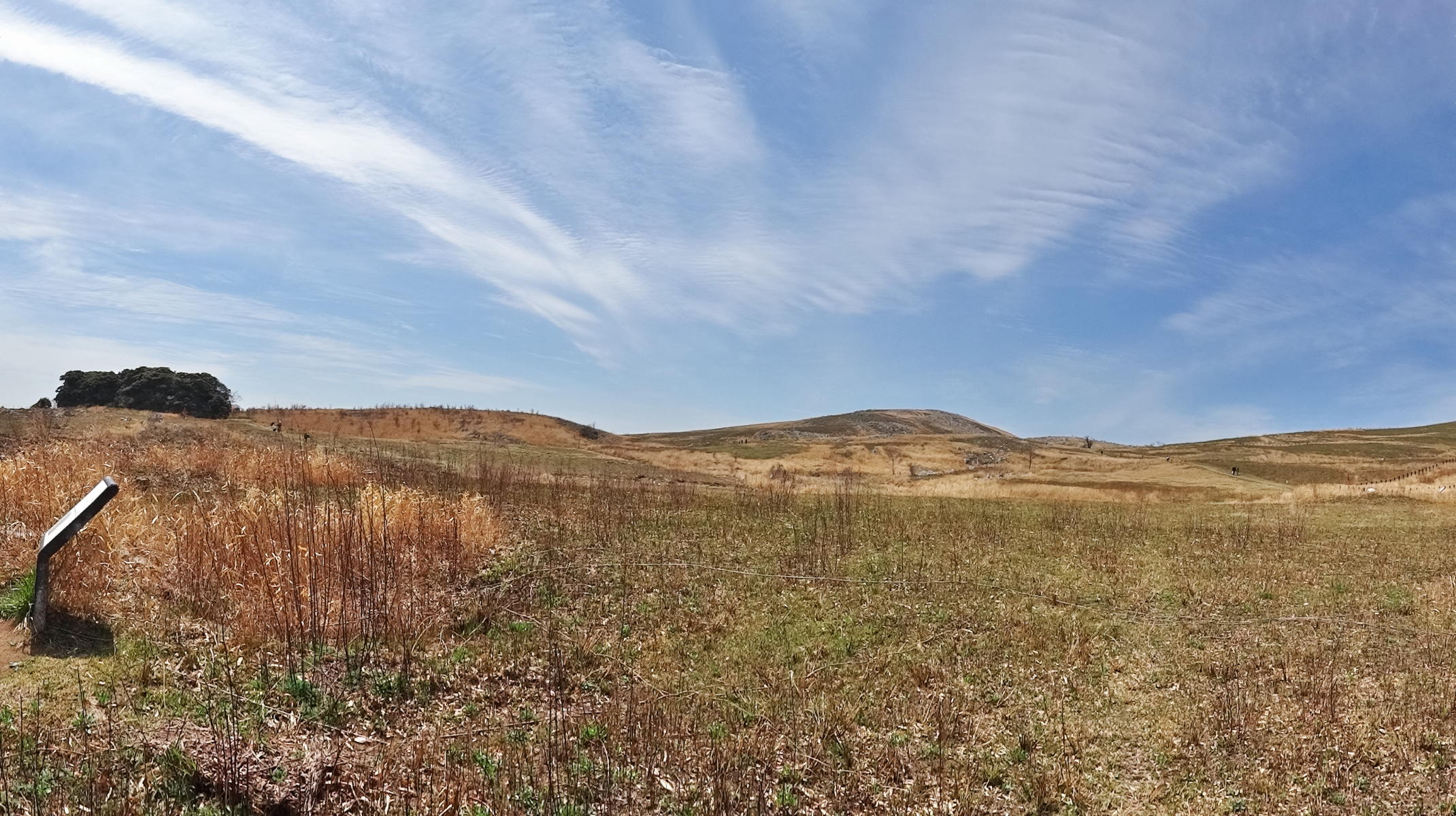 e0015567_1915447.jpg
