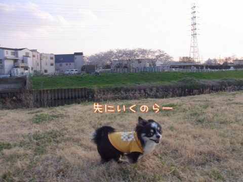 e0059267_2335320.jpg