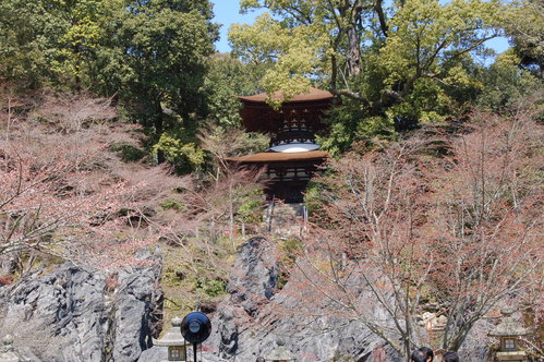 石山寺_b0196568_1741431.jpg