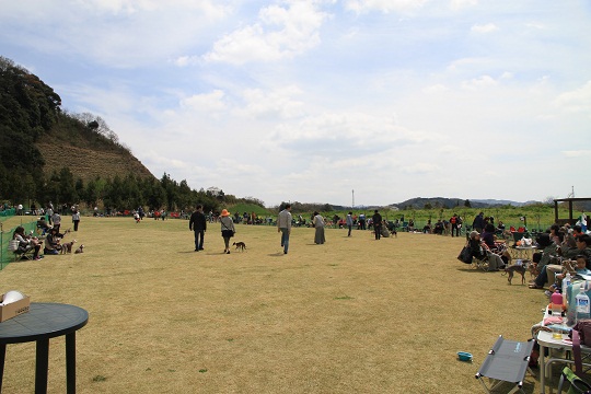 e0062371_18435321.jpg