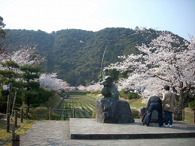 錦帯橋の桜_c0153173_20235829.jpg