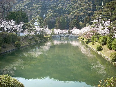 錦帯橋の桜_c0153173_20242395.jpg