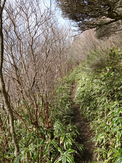 No.293　背振山系縦走（井原山〜雷山〜浮岳〜女岳〜十坊山）　_d0226273_23271870.jpg