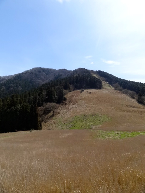 No.293　背振山系縦走（井原山〜雷山〜浮岳〜女岳〜十坊山）　_d0226273_23363882.jpg