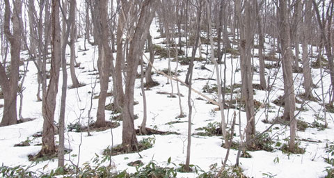f0083977_1731313.jpg