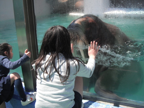 f0200380_320117.jpg