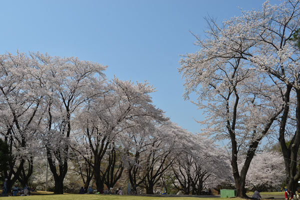 c0047589_2384145.jpg