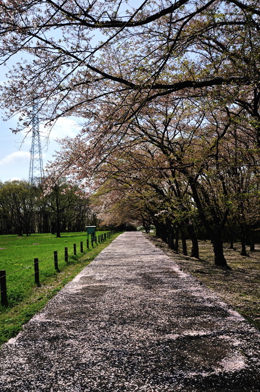 b0217090_2042419.jpg