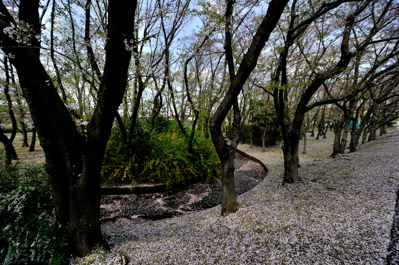 b0217090_20482314.jpg