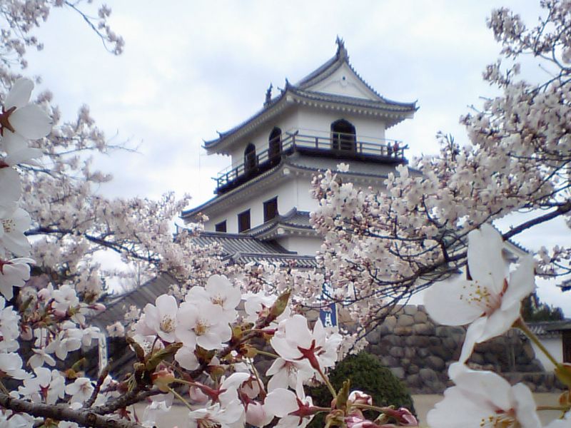 d0069498_22123664.jpg