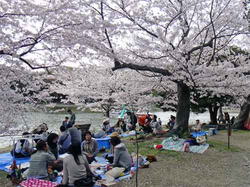 明石公園往復ゆっくりラン_b0108100_2213394.jpg