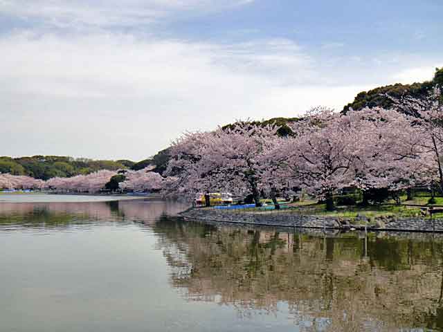 明石公園往復ゆっくりラン_b0108100_5472230.jpg