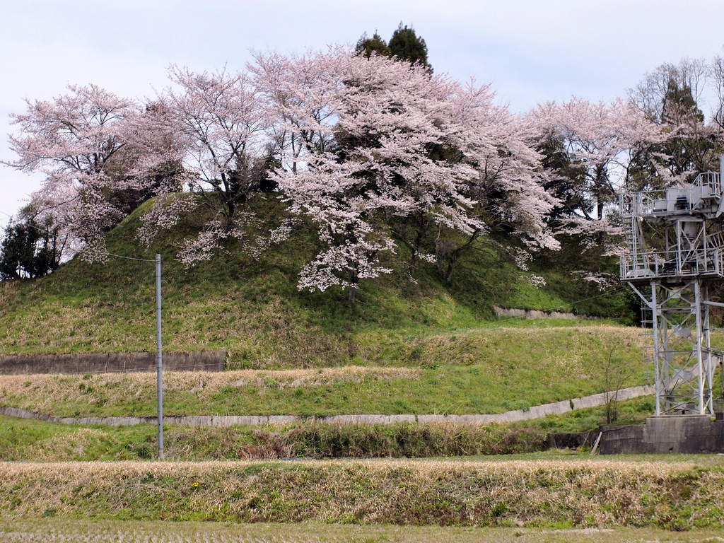 大宇陀の桜 ②_b0138101_22131666.jpg