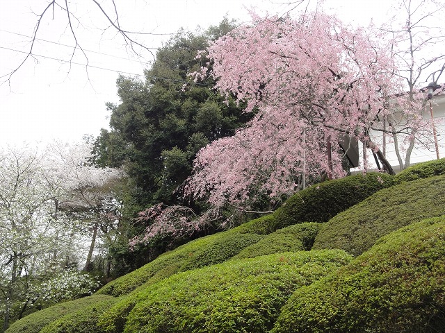 c0125501_2224877.jpg