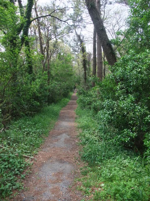 c0183801_18181024.jpg