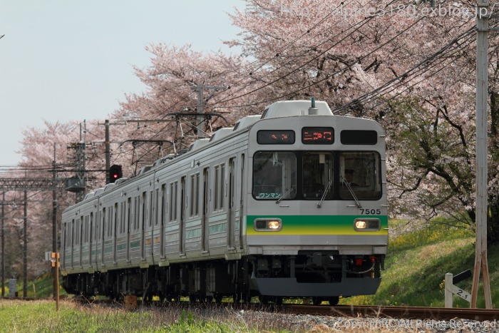 『桜の季節に秩父鉄道・その１』_b0244602_10485561.jpg