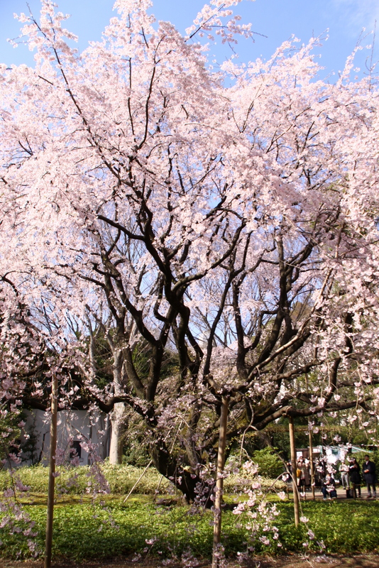d0248502_11542716.jpg