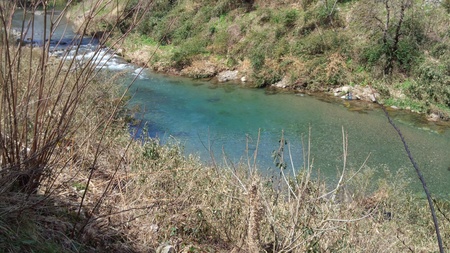 e0127602_922463.jpg