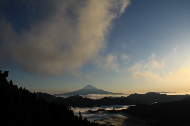 a0188405_859398.jpg