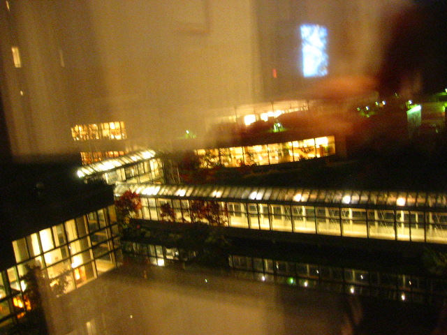 c0110906_1113271.jpg