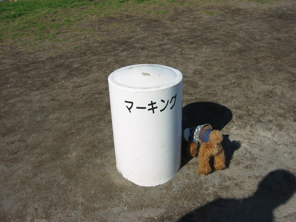 c0110906_1474954.jpg