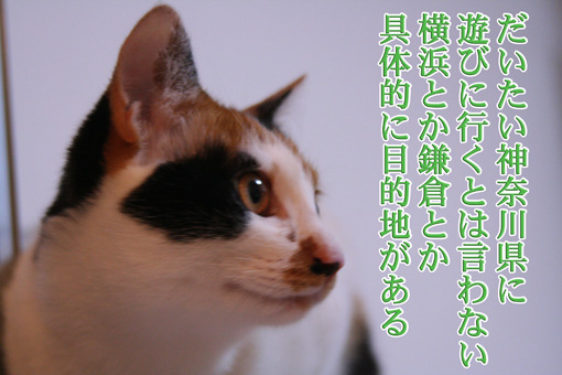 e0072606_1335478.jpg