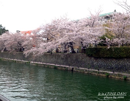 インクライン～三井寺夜桜まで♪_e0155609_2235119.jpg