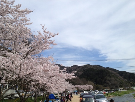 桜の木の下で肉を食す会2012_a0136013_155815.jpg