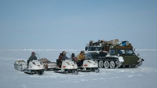 ロシア極北・サハ共和国（ヤクーチア）のコルィマ湾でホッキョクグマの赤ちゃんが保護される_a0151913_21351695.jpg