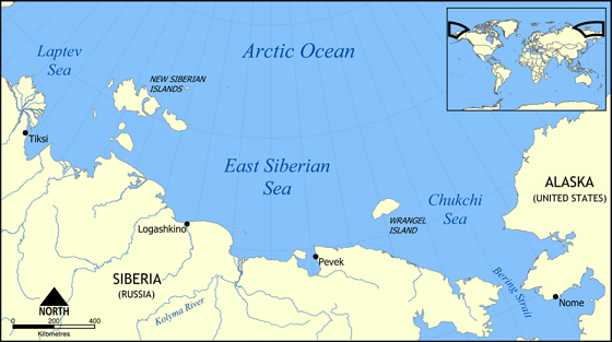 ロシア極北・サハ共和国（ヤクーチア）のコルィマ湾でホッキョクグマの赤ちゃんが保護される_a0151913_21413375.png