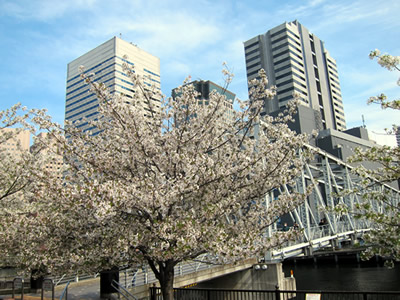 a0153913_23473468.jpg