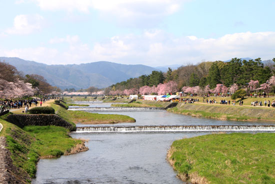 鴨川 半木の道通り抜け_e0048413_1915017.jpg