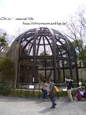 d0179417_74337.jpg