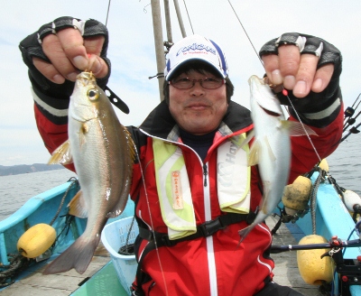 神前浦でボートエギング 五目釣り お気楽釣り日誌